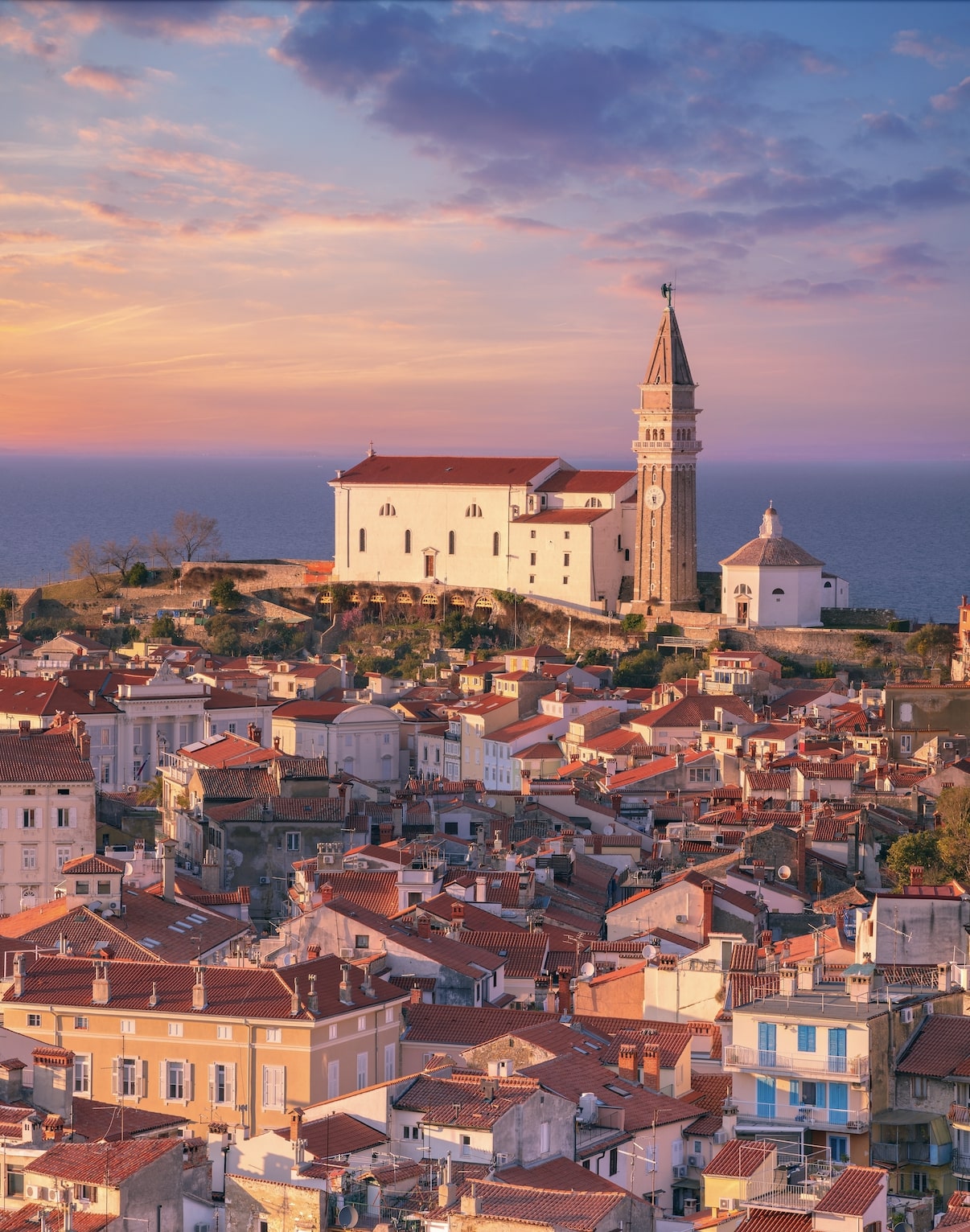 Golden hour in Istria Croatia.